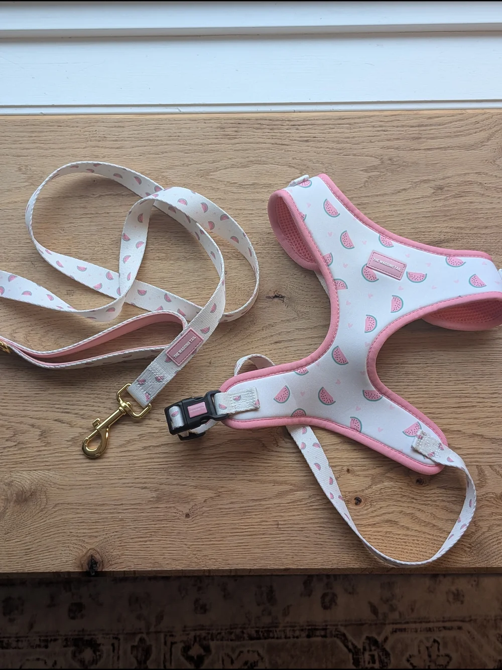 Pink Watermelon Adjustable Harness and Leash Set (Large)